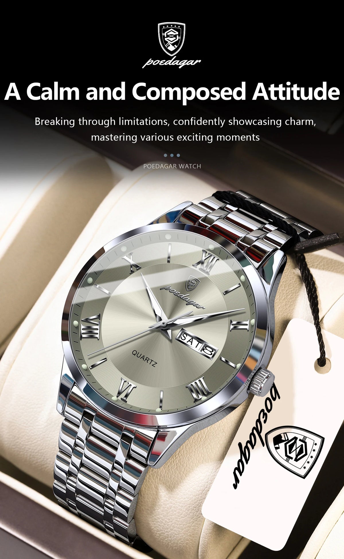 POEDAGAR Business Sports Man Wristwatch Waterproof Luminous Week Date Fashion Men's Clock Stainless Steel Quartz Watches For Men